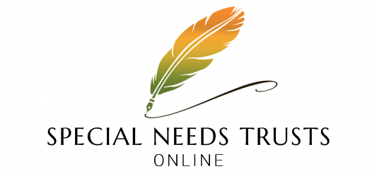 Special Needs Trusts and Estate Plans